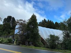 -怀托摩萤火虫洞