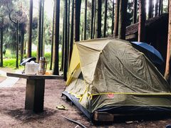 -武陵山森林公园