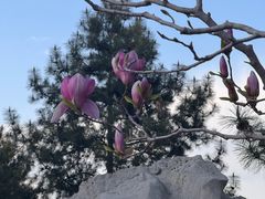 -西海子公园