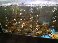 -蟹之国·精品蟹料理(极地店)