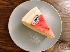 玫瑰千层-猫友咖啡店(玉林西路店)