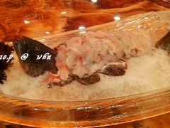 石斑鱼-棠宴酒店(汉口学院店)