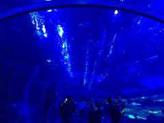 -成都浩海立方海洋公园