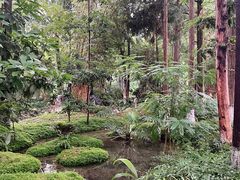 -成都市活水公园