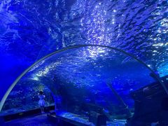-江和美海洋公园