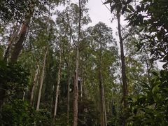 -水濂山森林公园