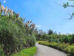 -白鹭湾湿地公园