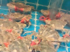-锅老头铁锅炖•大锅蒸汽海鲜(韩乐坊店)