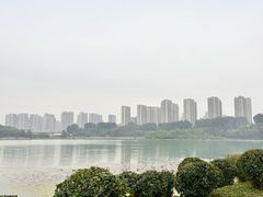 -丁香湖公园