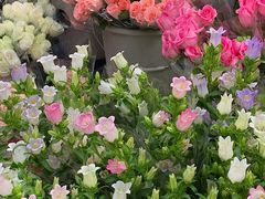 -循礼门鲜花花市(武汉循礼门店)