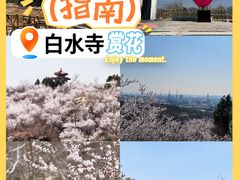 -白水寺森林公园