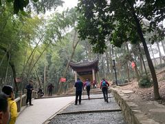 -灵岩山风景区