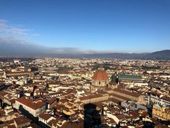 -圣母百花大教堂穹顶