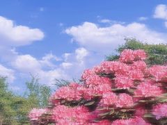 -名花谷生态庄园