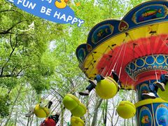 -上海共青森林公园