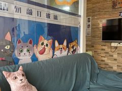 -芭比堂动物医院·心脏科·老年急重症·夜诊·吉雅分院