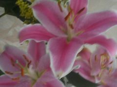 -乐唱氧吧量贩式KTV