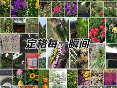 -汇龙潭