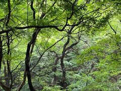 -龙洞风景区-藏龙涧