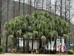 -江门古兜温泉小镇