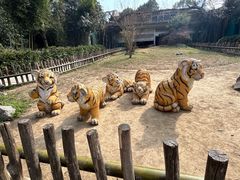-杭州野生动物世界