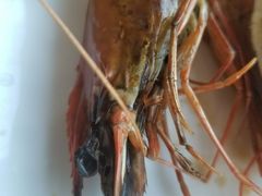 -蟹之国·精品蟹料理(极地店)