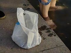 -梅龙湖