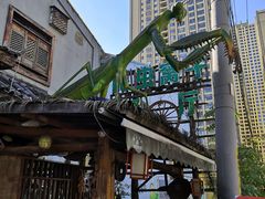 -昆虫窝子·特色云南菜(拓东路总店)