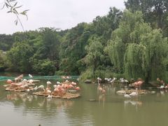 -宁波野生动物园