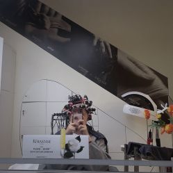 -侨治发型