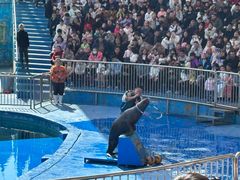 -华夏文旅海洋公园