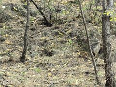 -云峰山自然风景区