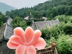 -潭柘寺景区