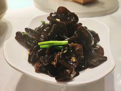 拌黑木耳-好嫂子酱猪手•农家菜(蒲黄榆店)