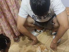 -屋虎猫馆(宝安大仟里店)
