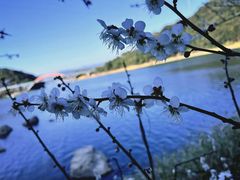 -广州市流溪河国家森林公园