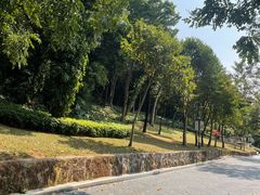 -炮台山公园