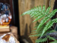 -西关84·History·Art·Cafe