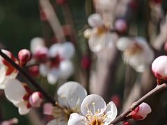 -河南省黄河迎宾馆