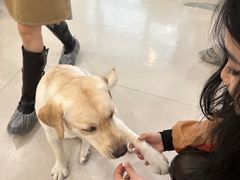 -共舞时光猫咖·狗咖(新街口店)