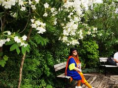 -三鹰之森吉卜力美术馆