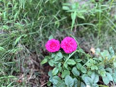 -湖南别院·美学庭院餐厅(惠阳店)