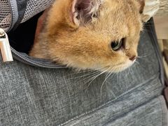 -联合动物医院(光谷诊疗中心)