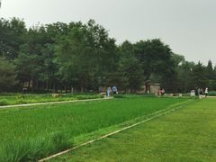 -北坞公园