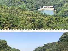 -广州市帽峰山景区