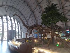 -辽宁古生物博物馆