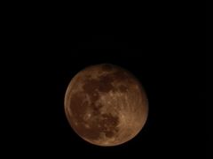 -小方的面(徐家汇店)