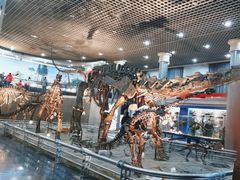 -国家自然博物馆