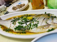 清蒸白鱼-张鸟园农家乐(张鸟园店)