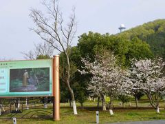 -南京市无想山景区